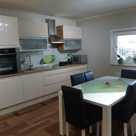 Sanja Apartment Near To Ljubljana Preserje pri Radomljah Extérieur photo